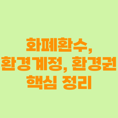 화폐환수, 환경계정, 환경권 핵심 정리