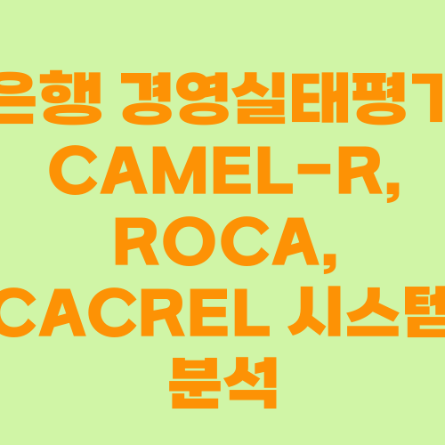 은행 경영실태평가 CAMEL-R, ROCA, CACREL 시스템 분석