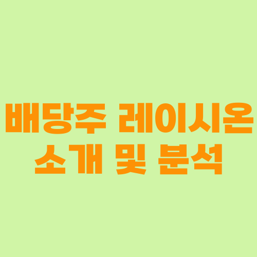 배당주 레이시온 소개 및 분석