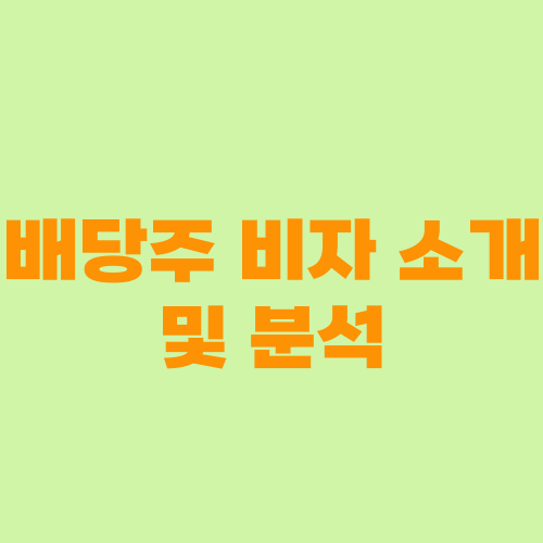 배당주 비자 소개 및 분석